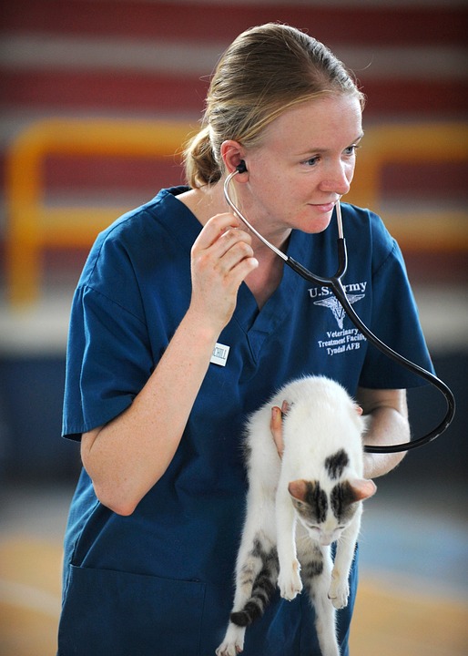 veterinaine